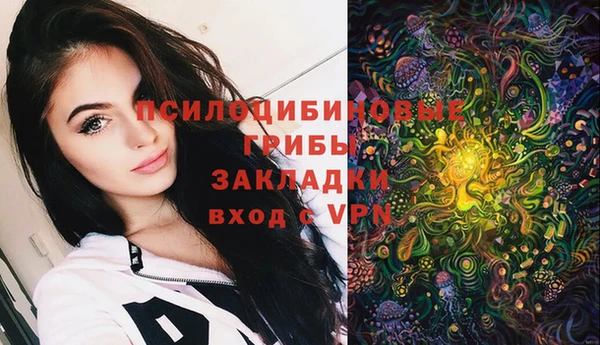 a pvp Алексеевка