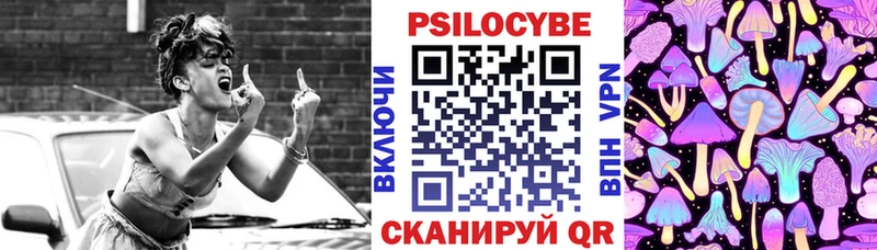 площадка клад  ОМГ ОМГ онион  Покров  Псилоцибиновые грибы Cubensis 